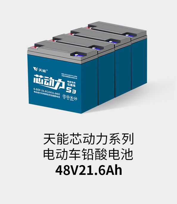 天能電池48v20ah